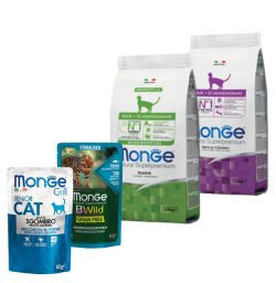 MONGE